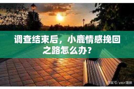 调查结束后，小鹿情感挽回之路怎么办？