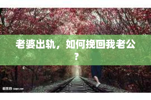老婆出轨，如何挽回我老公？