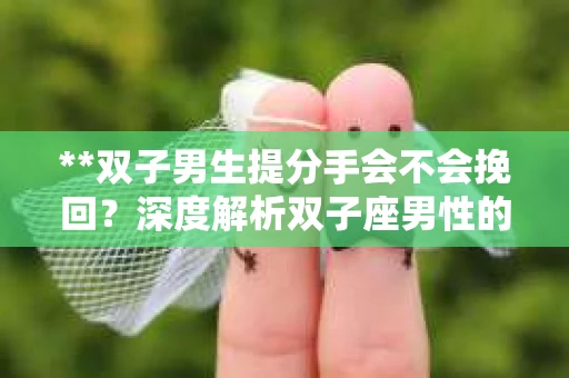 **双子男生提分手会不会挽回？深度解析双子座男性的情感决策**