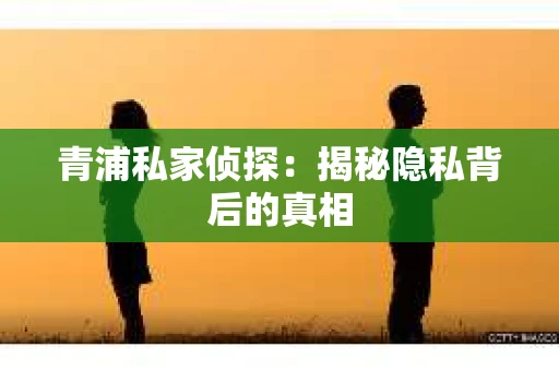 青浦私家侦探：揭秘隐私背后的真相