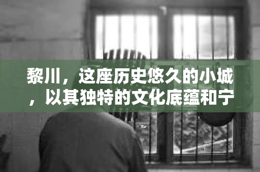 黎川，这座历史悠久的小城，以其独特的文化底蕴和宁静的生活节奏吸引着无数游客。然而，在这样一个看似平静的城市里，你是否会好奇，有没有私家侦探机构的存在呢？今天，就让我带你一探究竟。