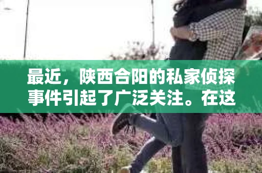 最近，陕西合阳的私家侦探事件引起了广泛关注。在这个信息爆炸的时代，隐私保护显得尤为重要。今天，我们就来聊聊这个事件，看看它背后的一些故事。