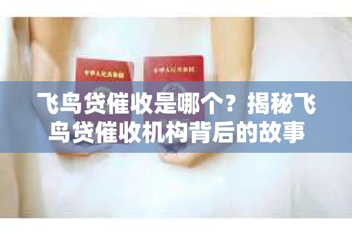 飞鸟贷催收是哪个？揭秘飞鸟贷催收机构背后的故事