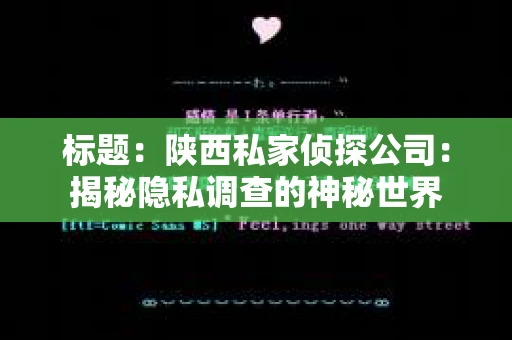 标题：陕西私家侦探公司：揭秘隐私调查的神秘世界