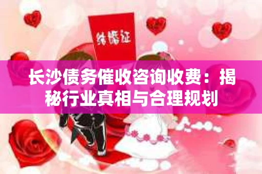 长沙债务催收咨询收费：揭秘行业真相与合理规划