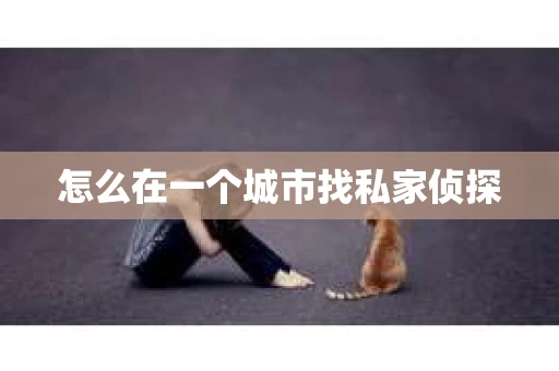 怎么在一个城市找私家侦探
