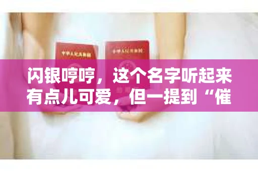 闪银哼哼，这个名字听起来有点儿可爱，但一提到“催收”，气氛就变得严肃起来。今天，我们就来聊聊这个话题，揭开“闪银哼哼催收”的神秘面纱。