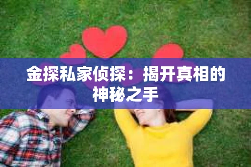 金探私家侦探：揭开真相的神秘之手