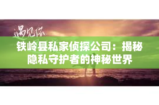 铁岭县私家侦探公司：揭秘隐私守护者的神秘世界