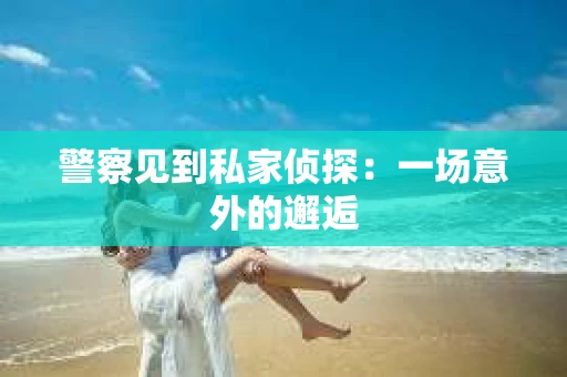 警察见到私家侦探：一场意外的邂逅