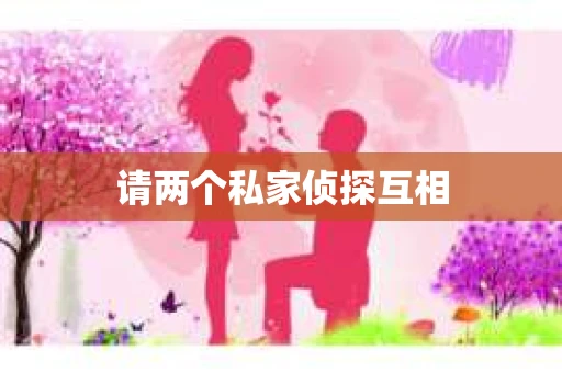 请两个私家侦探互相