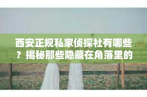 西安正规私家侦探社有哪些？揭秘那些隐藏在角落里的神秘力量