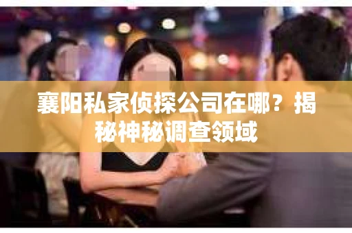 襄阳私家侦探公司在哪？揭秘神秘调查领域