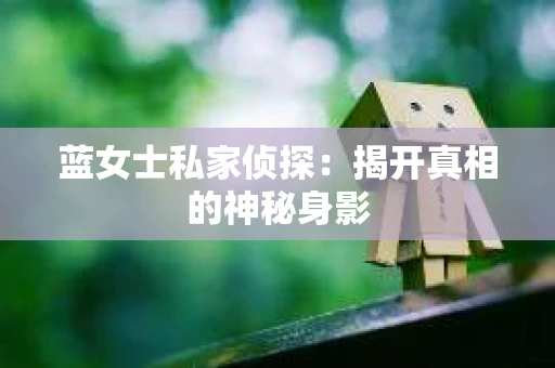 蓝女士私家侦探：揭开真相的神秘身影