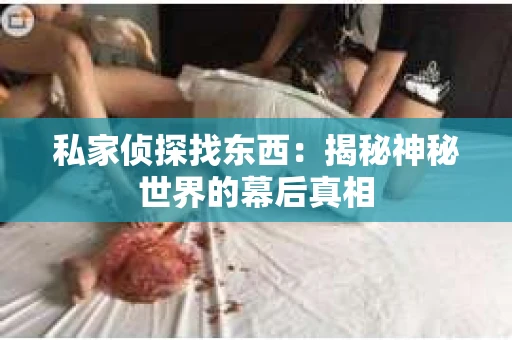 私家侦探找东西：揭秘神秘世界的幕后真相