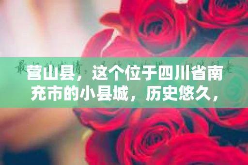 营山县，这个位于四川省南充市的小县城，历史悠久，风景秀丽。但在这个宁静的小县城里，你是否会好奇，有没有私家侦探的存在呢？今天，我就来和大家聊聊这个话题。
