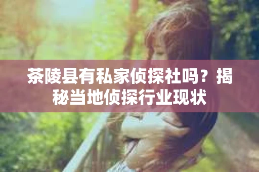 茶陵县有私家侦探社吗？揭秘当地侦探行业现状
