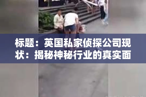 标题：英国私家侦探公司现状：揭秘神秘行业的真实面貌