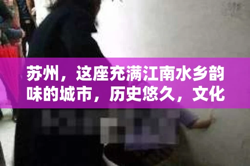 苏州，这座充满江南水乡韵味的城市，历史悠久，文化底蕴深厚。在这样一个充满故事的地方，私家侦探公司自然也不少。那么，苏州哪有私家侦探公司呢？今天，我就来给大家盘点一下。