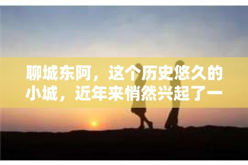 聊城东阿，这个历史悠久的小城，近年来悄然兴起了一股新的服务潮流——私家侦探。今天，我们就来聊聊这个话题，看看在聊城东阿，私家侦探是如何成为人们生活中的一部分的。
