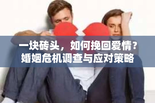 一块砖头，如何挽回爱情？婚姻危机调查与应对策略