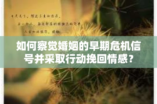 如何察觉婚姻的早期危机信号并采取行动挽回情感？