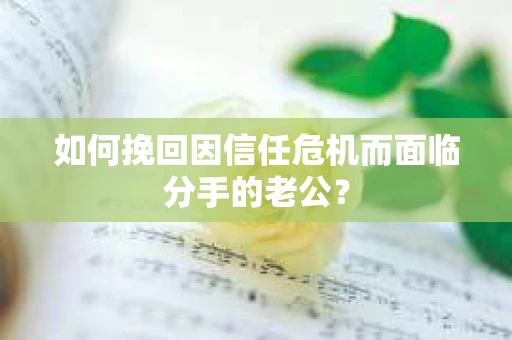 如何挽回因信任危机而面临分手的老公? 如何挽回因信任危机而面临分手的老公?