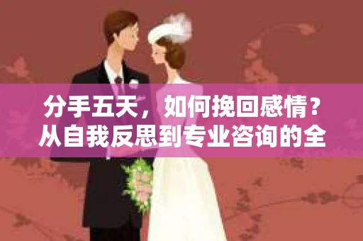 分手五天，如何挽回感情？从自我反思到专业咨询的全面解决方案