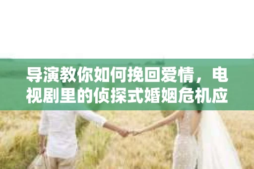 导演教你如何挽回爱情,电视剧里的侦探式婚姻危机应对法 导演教你如何挽回爱情,电视剧里的侦探式婚姻危机应对法