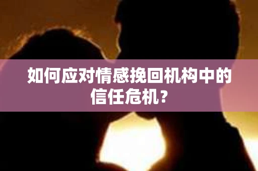 如何应对情感挽回机构中的信任危机？