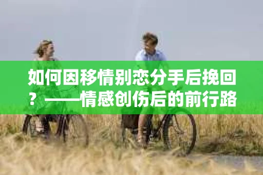 如何因移情别恋分手后挽回？——情感创伤后的前行路线图