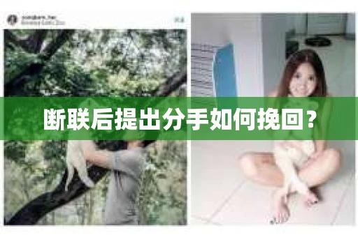 断联后提出分手如何挽回？
