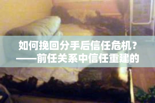 如何挽回分手后信任危机？——前任关系中信任重建的实用指南