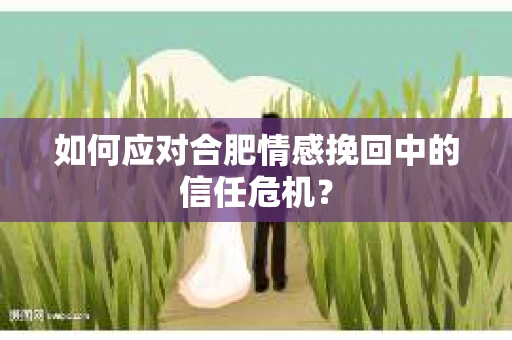 如何应对合肥情感挽回中的信任危机？