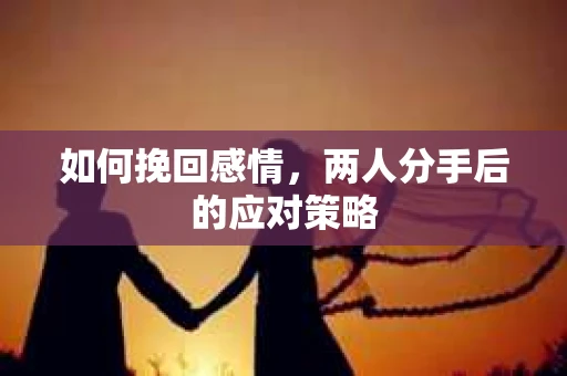 如何挽回感情,两人分手后的应对策略 如何挽回感情,两人分手后的应对策略