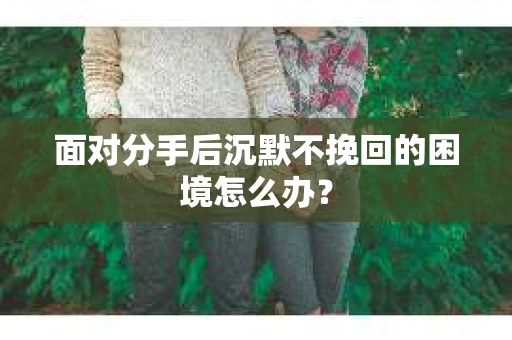 面对分手后沉默不挽回的困境怎么办？